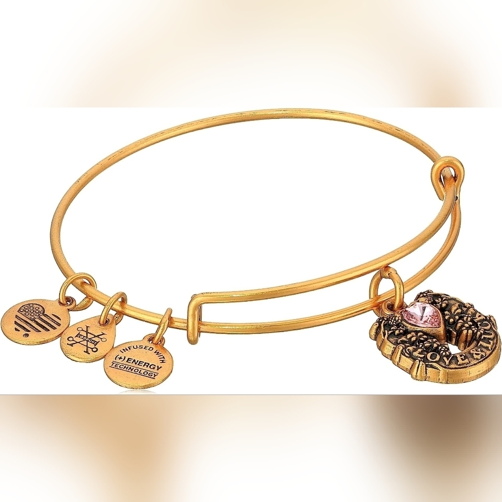 Alex and Ani 2017 Fortune's Favor Bangle Bracelet